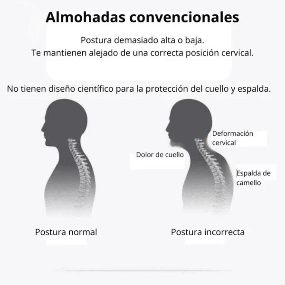 Almohada Ortopédica con Alineación Cervical - OFERTA 2x1